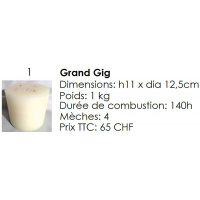 grand_gig-nano