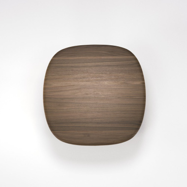 06_top_walnut-small-nano_1300297224